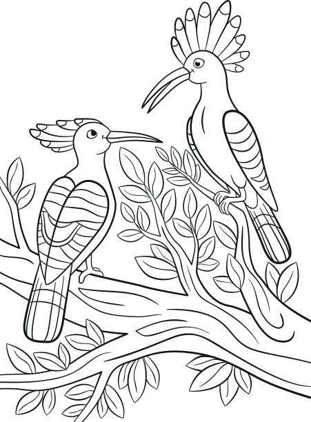 着色页面。两个漂亮的戴箍鸟停在树枝上。图片下载