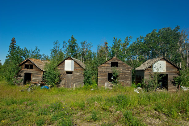 废弃的旧棚屋:废弃的农场建筑图片下载