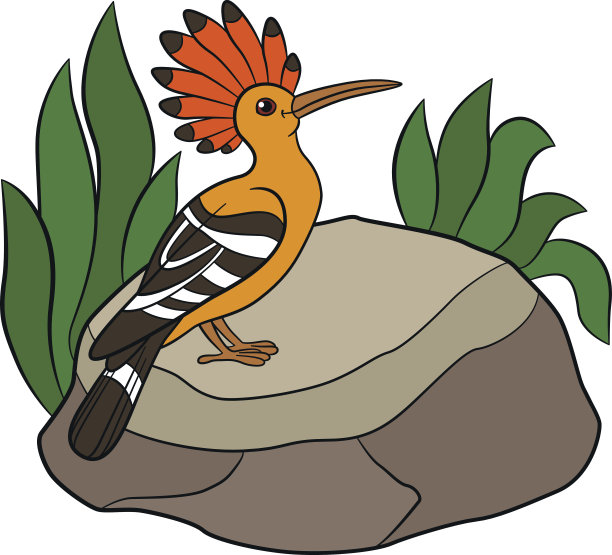 卡通鸟。可爱美丽的戴箍鸟坐在石头上。图片下载