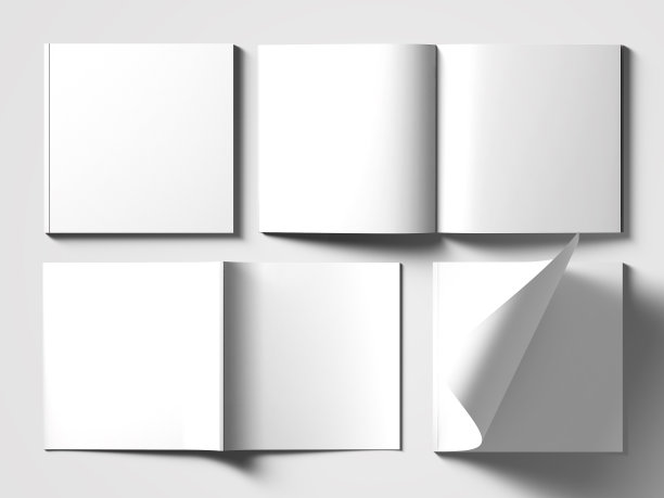 空白方形目录模型上的白色。图片下载