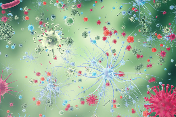 细菌图片素材ID：132157732