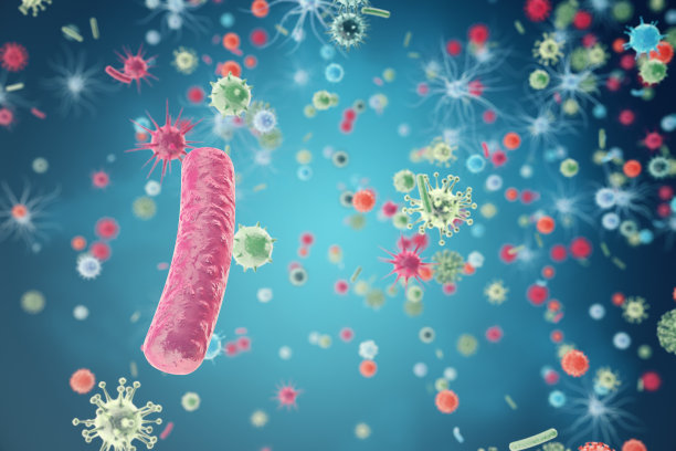 细菌图片素材ID：132157894