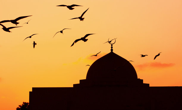 傍晚时分的清真寺与飞鸟图片下载