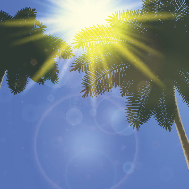 蓝色的天空和夏日的阳光。图片下载