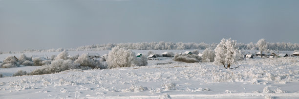 冬季的聚落和周围被雪覆盖的田野全景图片下载