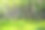 京都岚山的苔藓花园图片下载