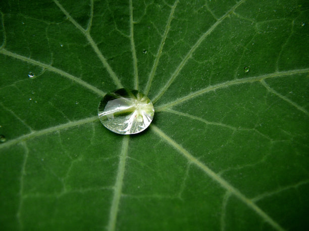 水是生命之源图片下载