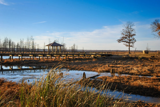 露台上的湖图片下载