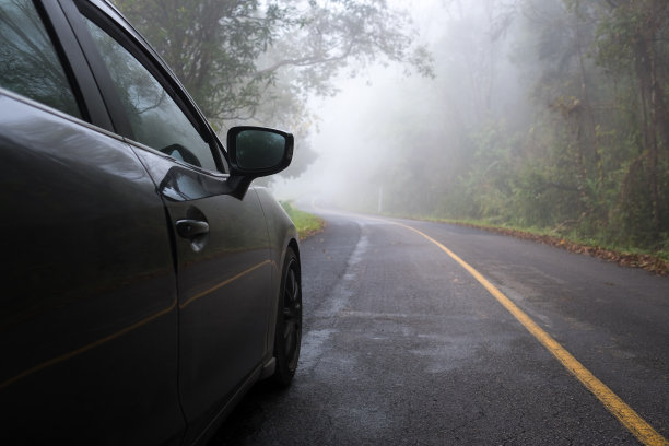 开车在雾中图片下载