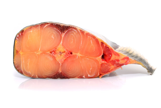 新鲜准备的盘尼西鱼片，白色背景图片下载