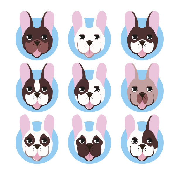 矢量集的法国斗牛犬的脸图片下载