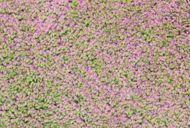 地毯质地特写图片下载