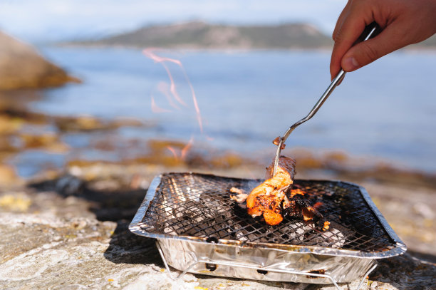 挪威鲑鱼在户外烧烤图片下载