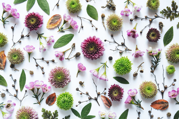 全框花卉图案图片下载