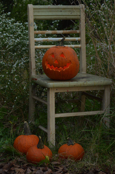 万圣节南瓜灯在户外的旧椅子上图片下载