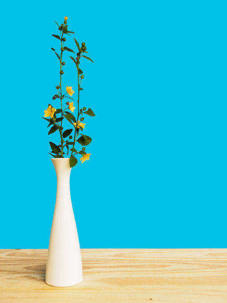 深蓝色底色上花瓶中的花和枝图片下载