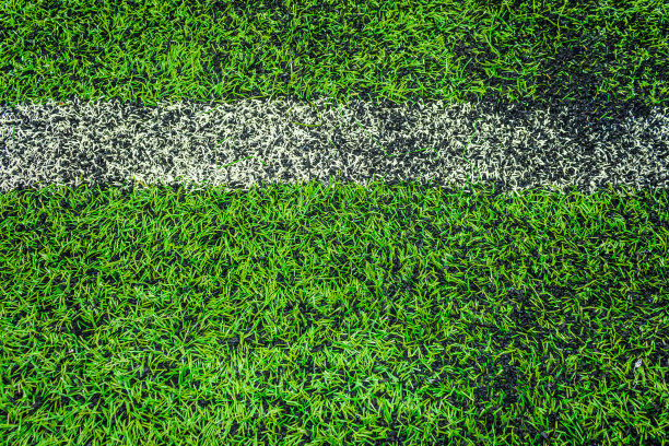 绿草的背景图片下载