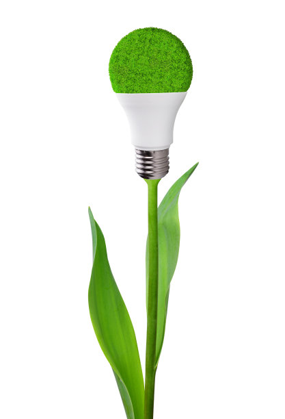 植物茎部生态LED灯泡。图片下载