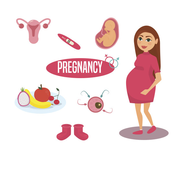 孕妇图片。美丽的女孩.Vektor图片下载