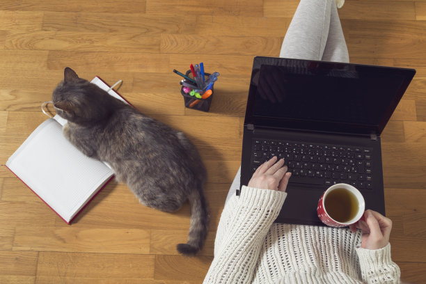 家庭办公室图片下载