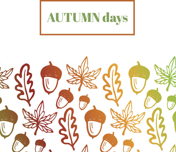 秋天的背景是橡子，枫和橡树叶图片下载