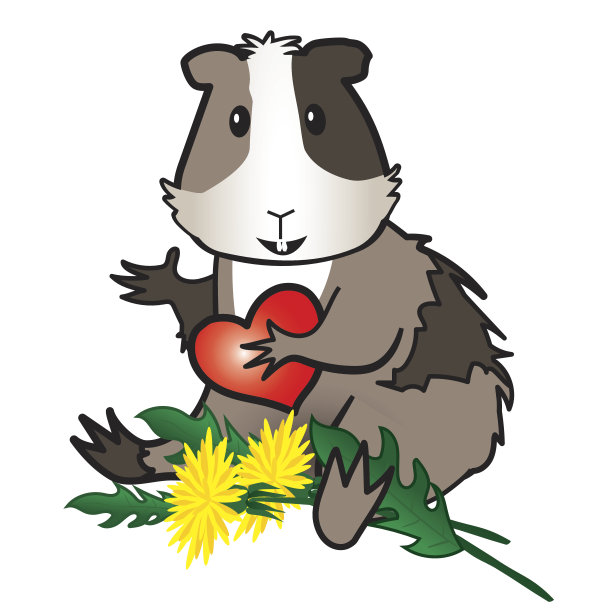 仓鼠，豚鼠和蒲公英图片下载