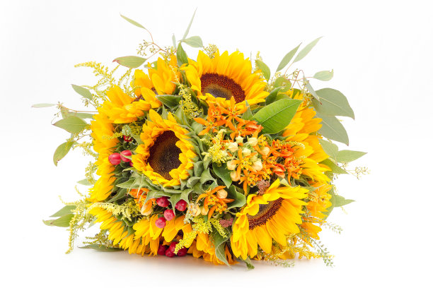 向日葵婚礼花束孤立在一个白色的背景。图片下载
