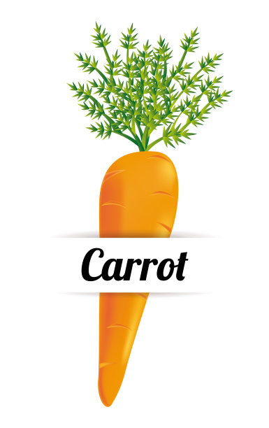 菜单设计图片下载