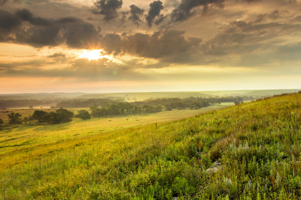 草地图片素材ID：132310324
