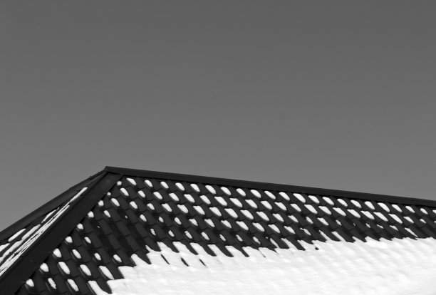 黑色和白色的屋顶在雪图片下载