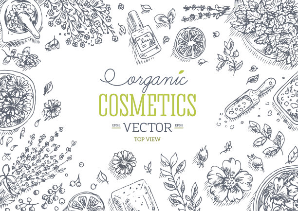 有机化妆品俯视图框架。天然化妆品的背景。矢量图图片下载