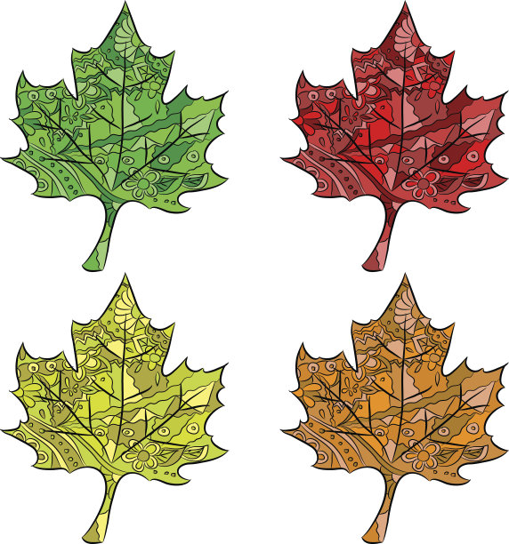 枫叶组图片下载