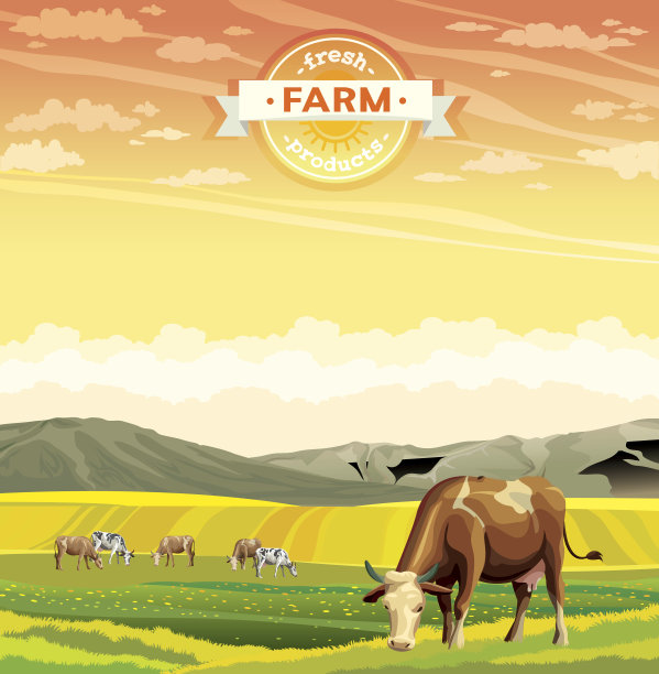 牛和绿色的草地。农村景观。素材图片