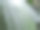 雨点落在芭蕉叶上图片下载
