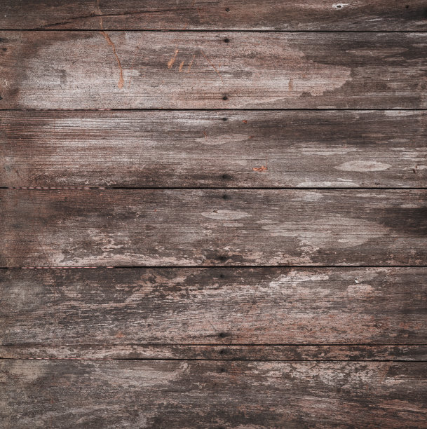 老木的背景图片下载