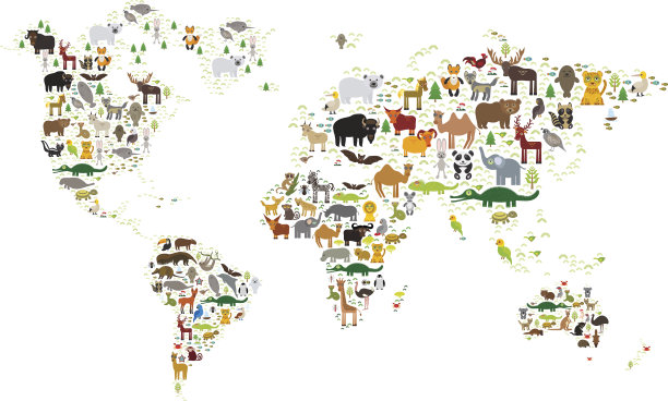 给孩子们的世界地图，来自世界各地的动物图片下载