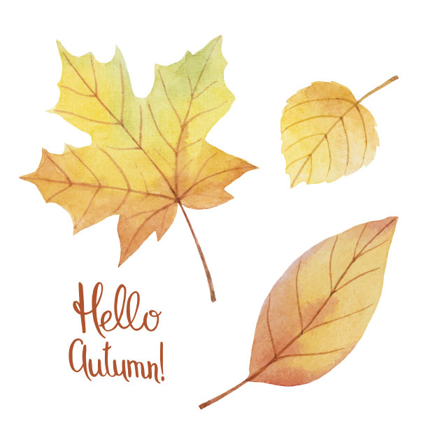 水彩秋叶图片下载
