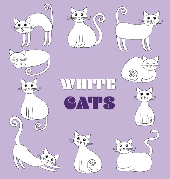 白猫插图图片下载