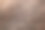 棕熊的皮毛纹理。素材图片