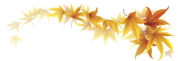 秋叶的漩涡图片下载