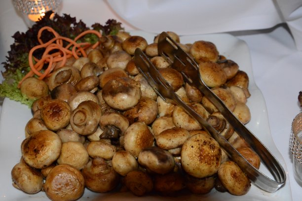 B ?脂肪图片下载