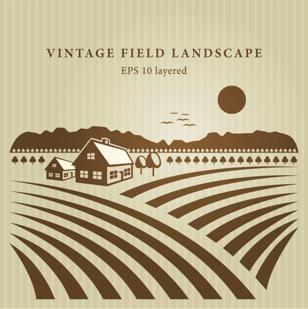 的野外风景图片下载