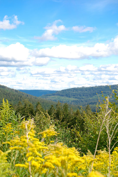 黑森林全景图片下载