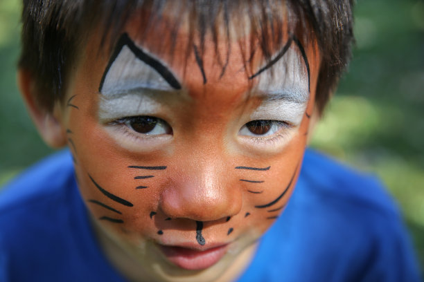 小男孩把脸画成老虎图片下载