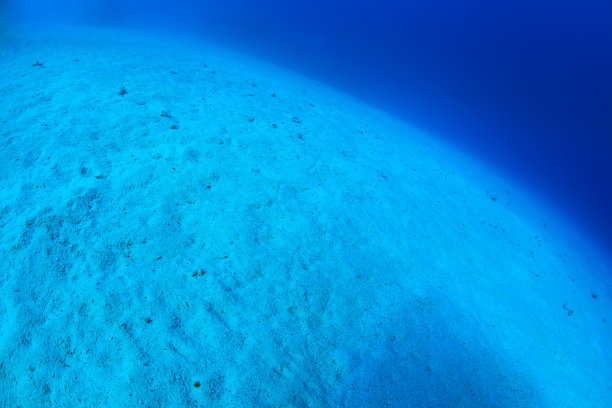 沙质海底图片下载