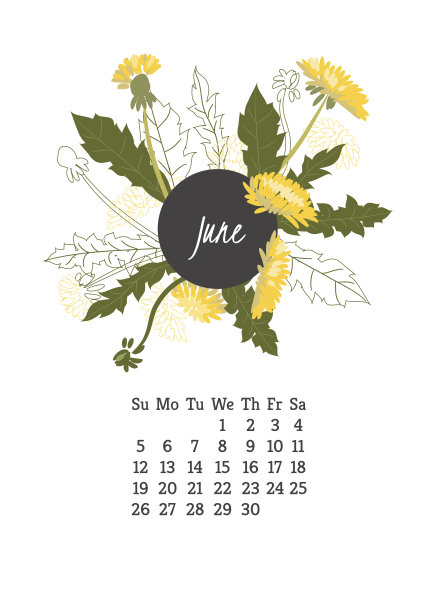 2016年日历以蒲公英为花图片下载