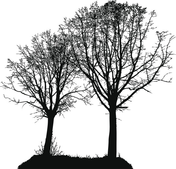 两棵树的矢量剪影图片下载