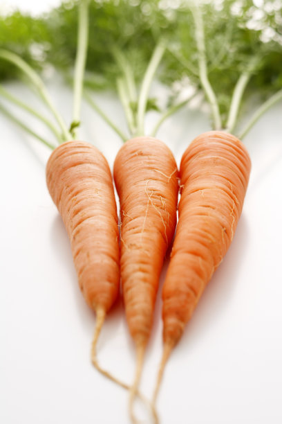 胡萝卜图片下载