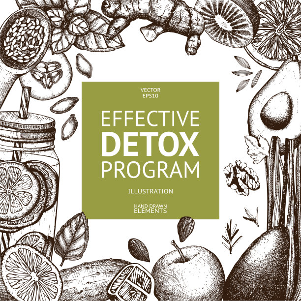 矢量设计与手绘解毒插图。图片下载