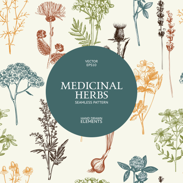 草药无缝模式图片下载